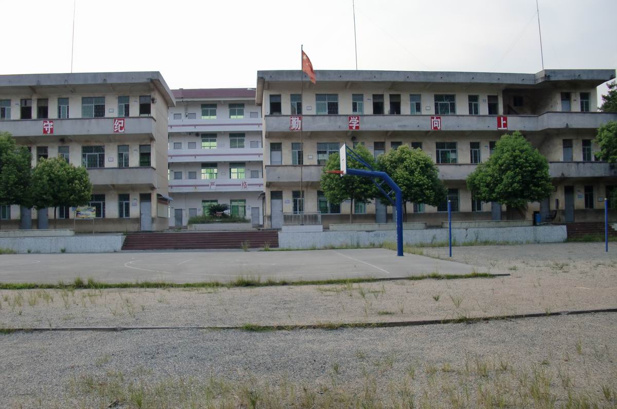 006.JPG