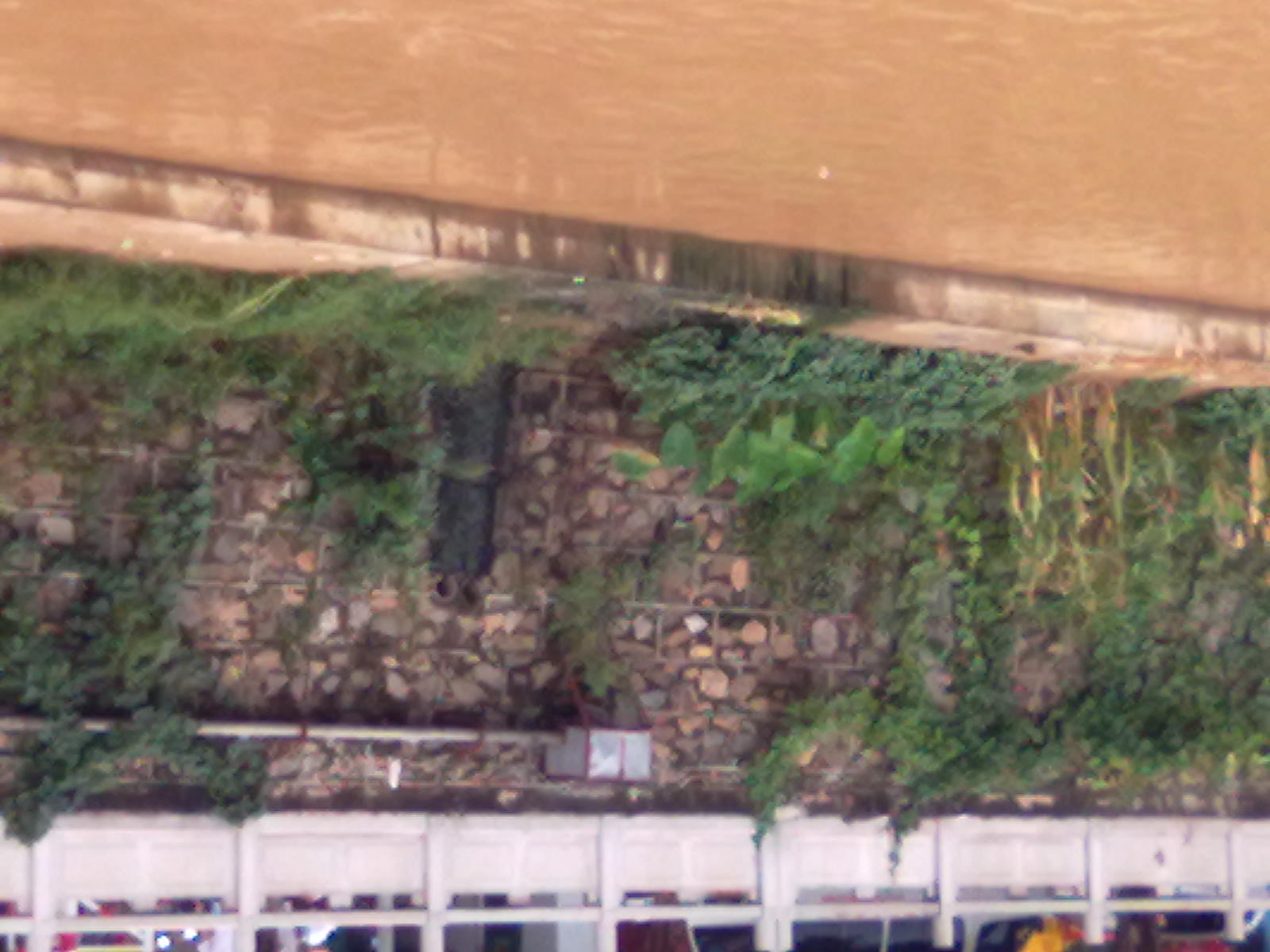 20110824118.jpg