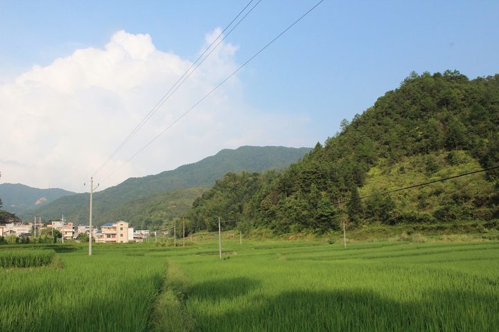 IMG_0762.jpg