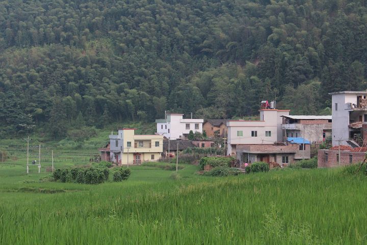IMG_0824.jpg