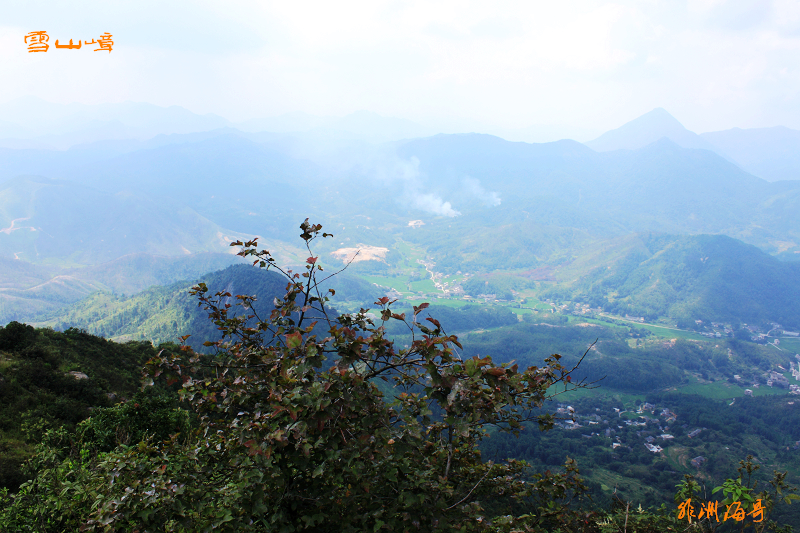 DPP_0099.jpg