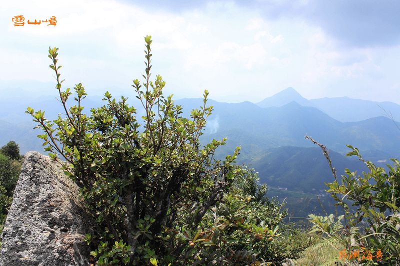 DPP_0109.jpg