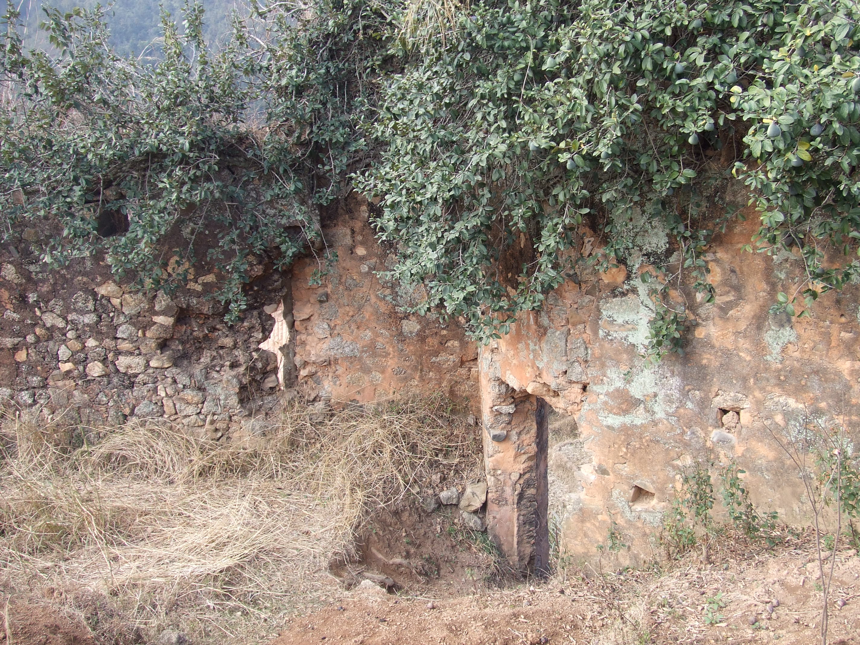DSCF1435.JPG