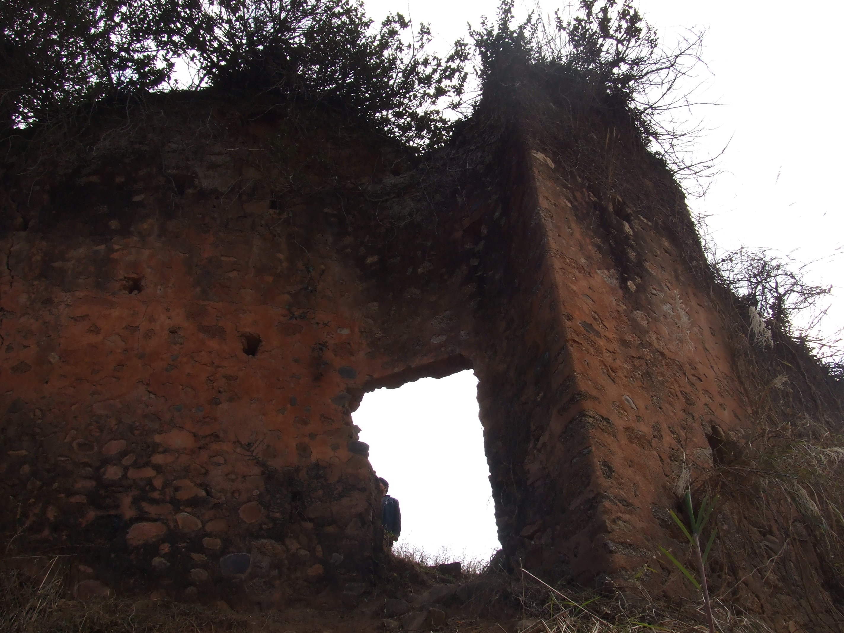 DSCF1443.JPG