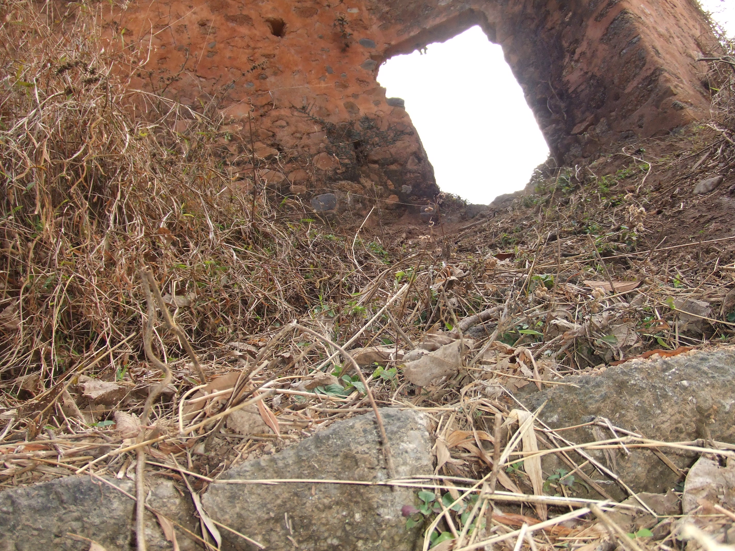 DSCF1444.JPG