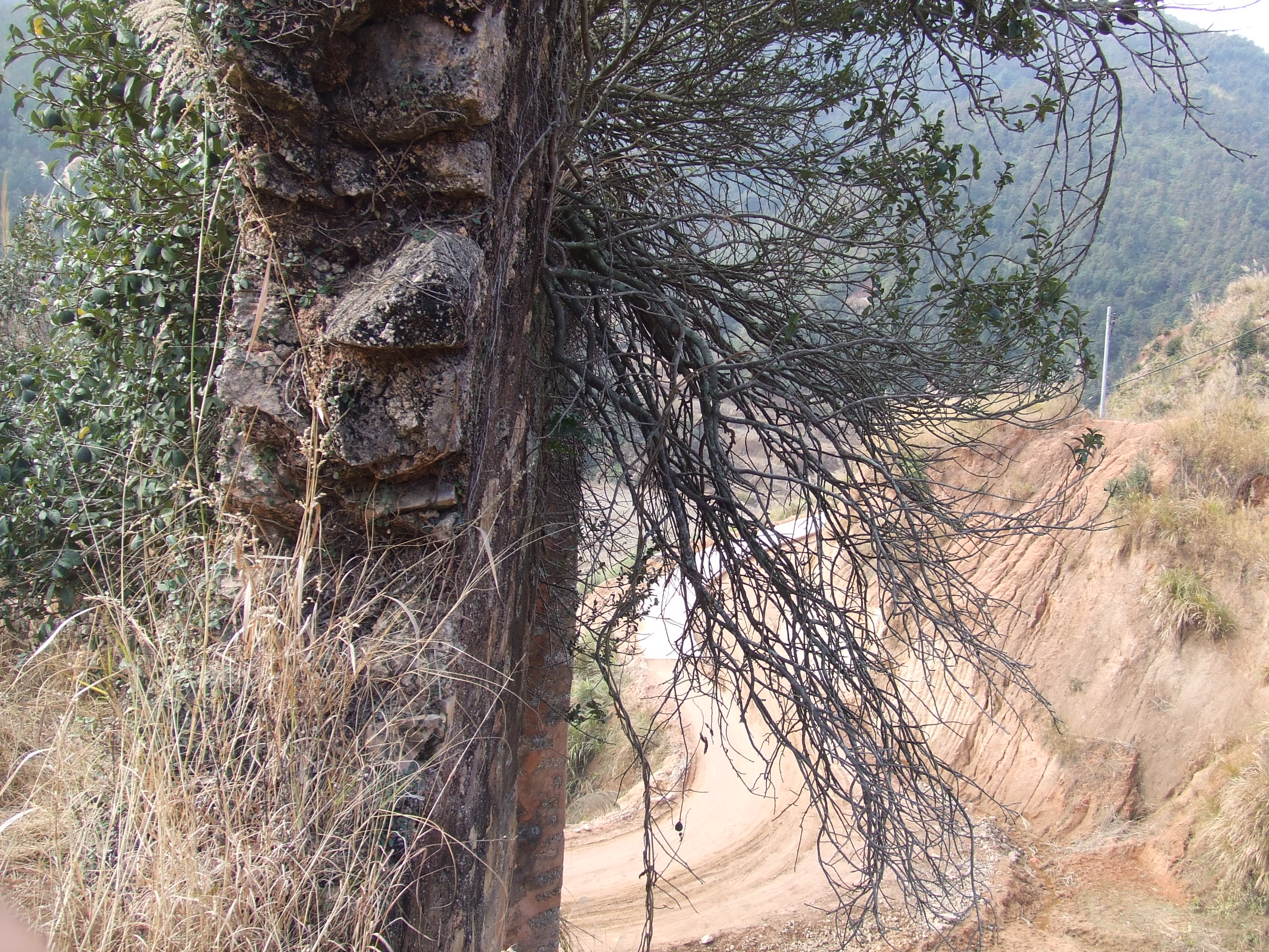 DSCF1436.JPG