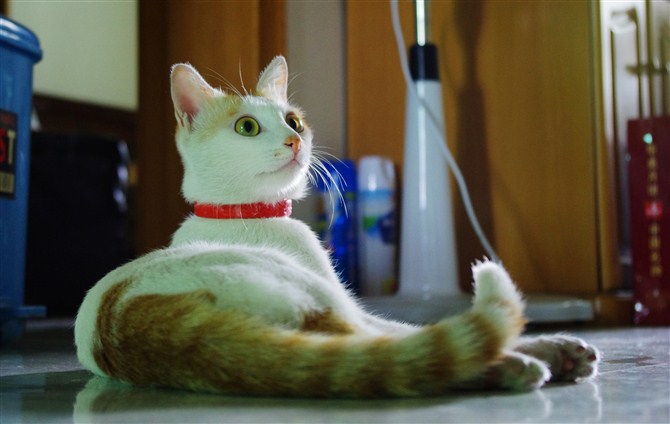 ISO:800 ȦF4.5 ع⣺1/25s ࣺ40mm ͷPENTAX-DAL 18-55mm