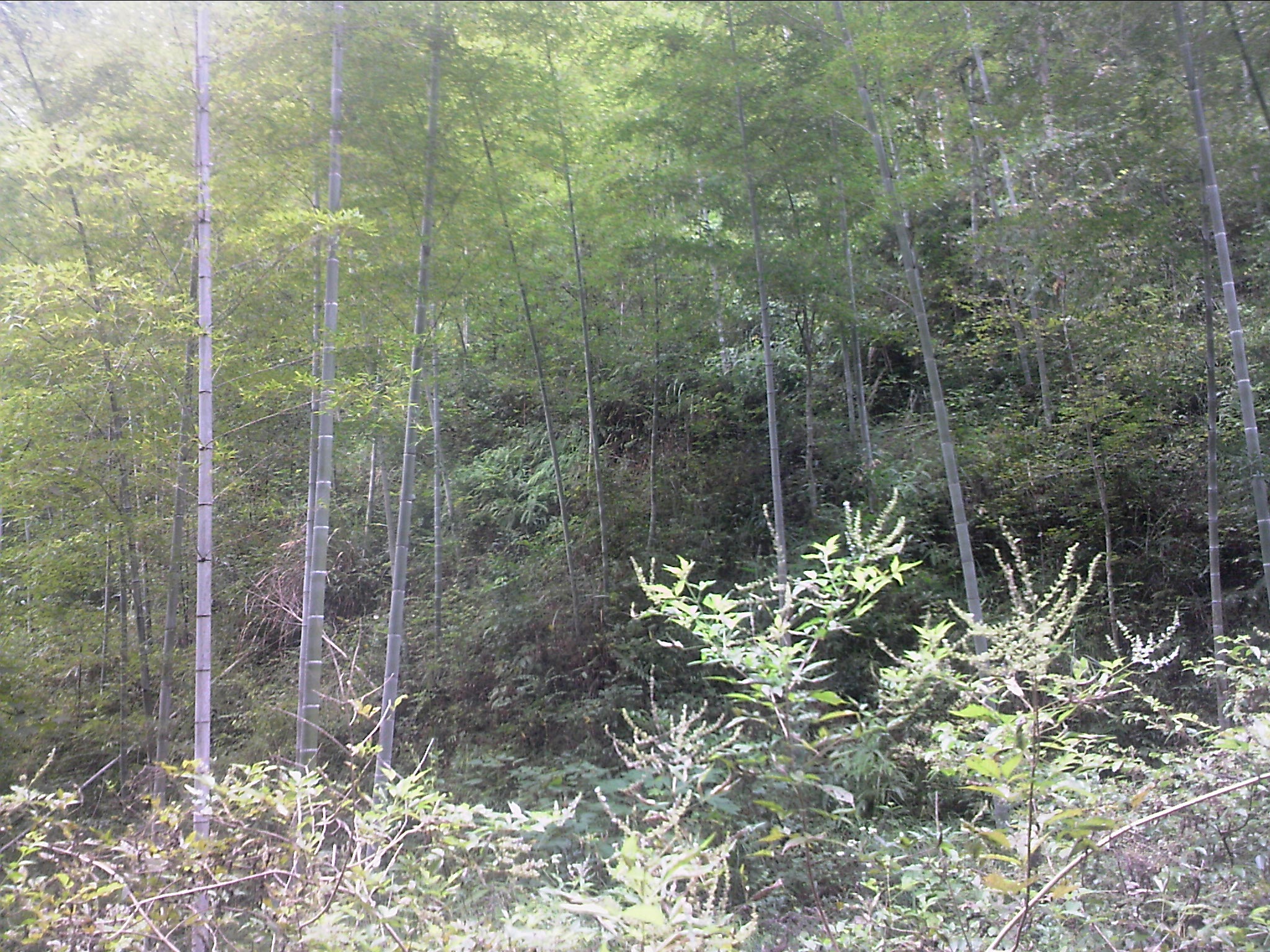 111004A046.jpg