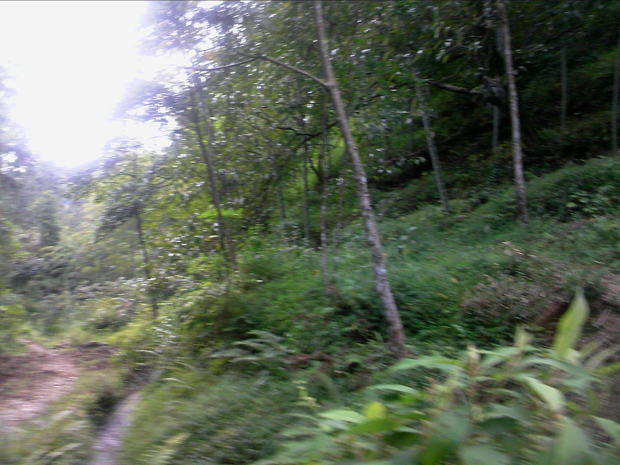 111004A053.jpg