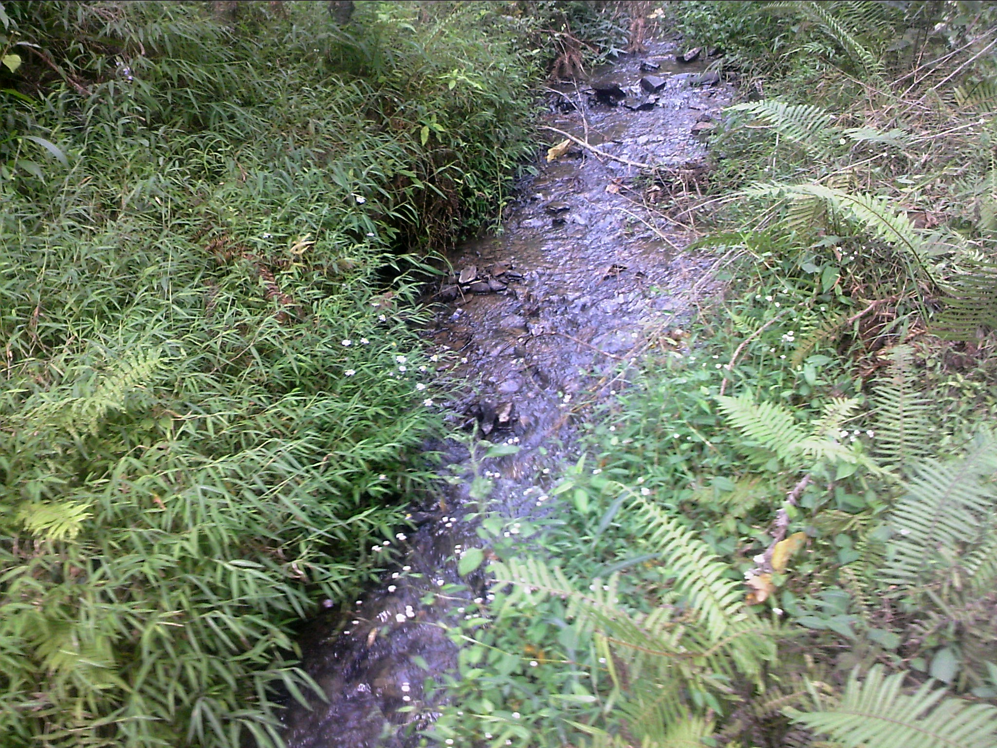 111004A051.jpg