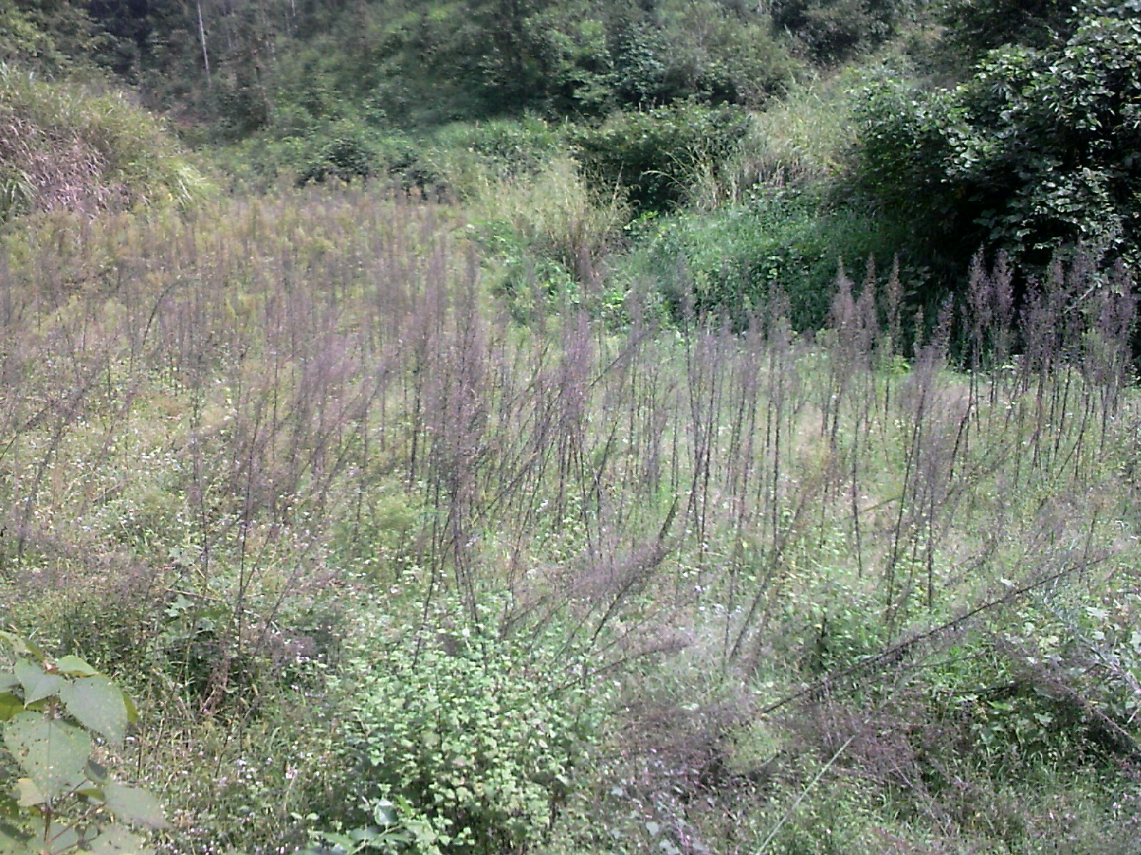 111004A056.jpg