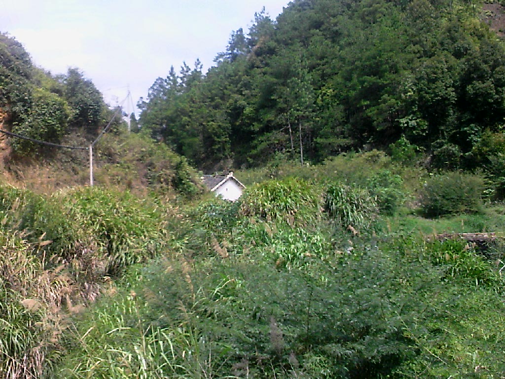 111004A006.jpg