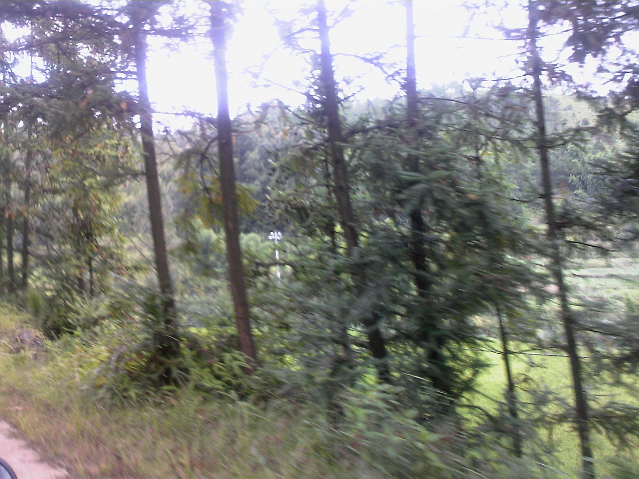 111005A000.jpg