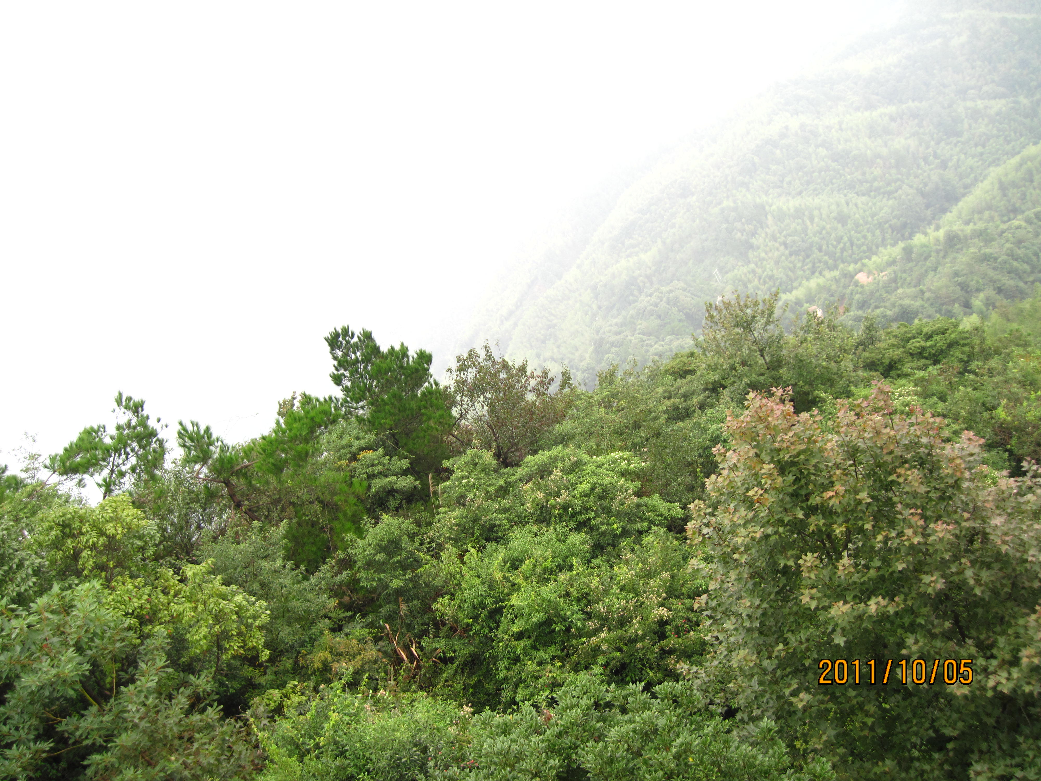 IMG_2610.JPG