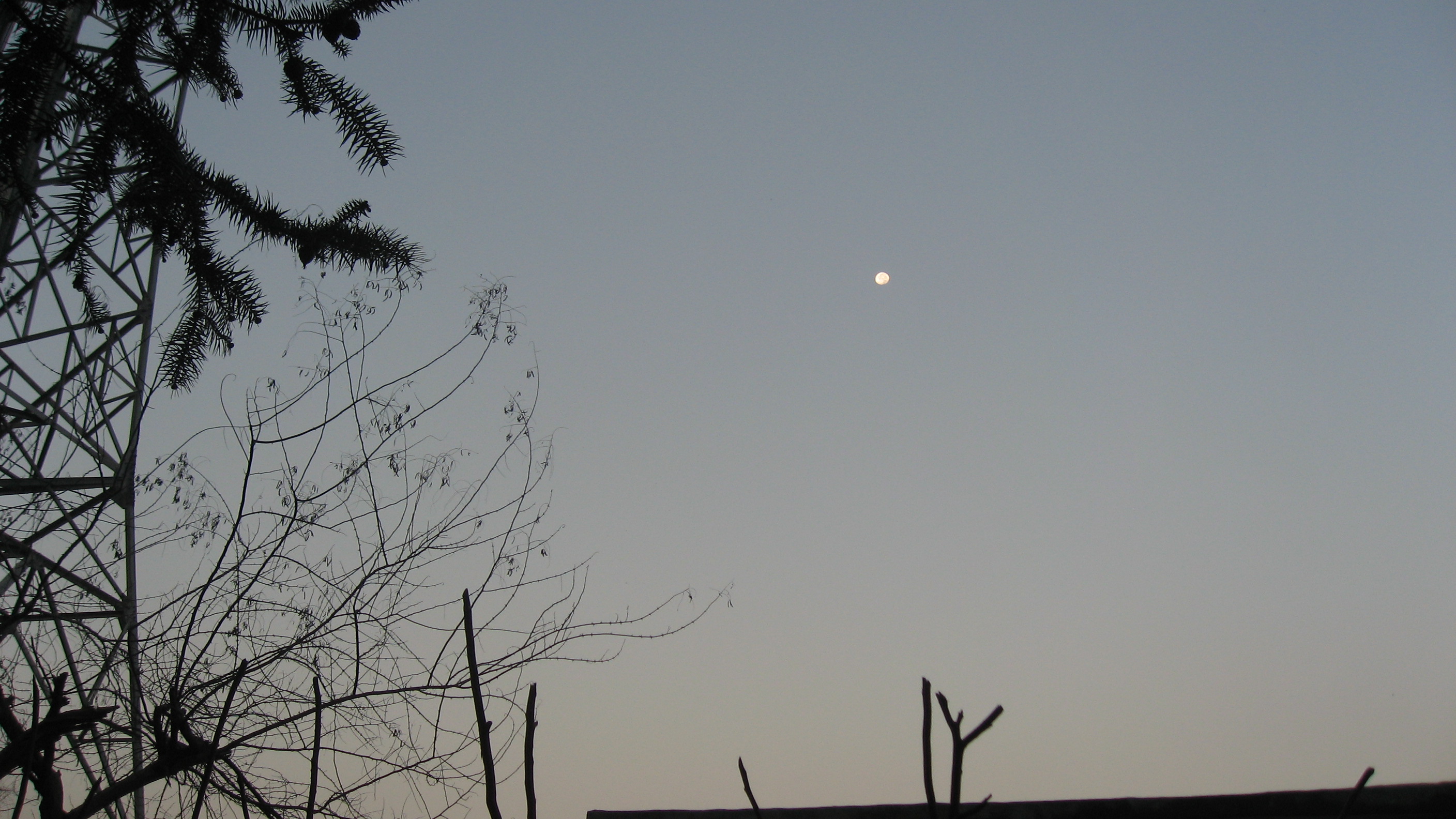 IMG_5875.jpg