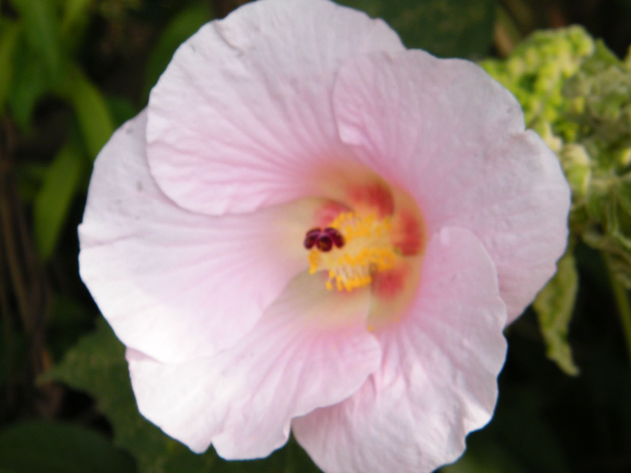 DSCF1838.JPG