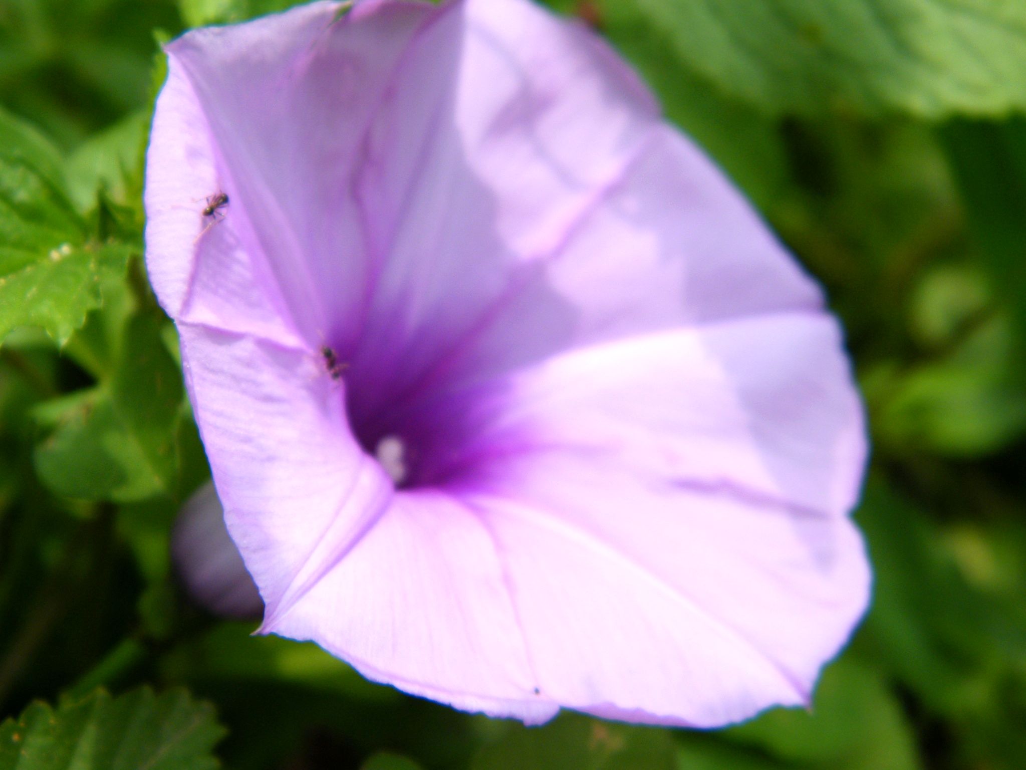 DSCF1839.JPG