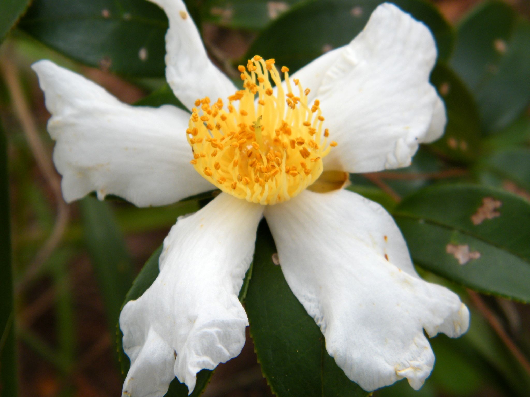 DSCF1951.JPG