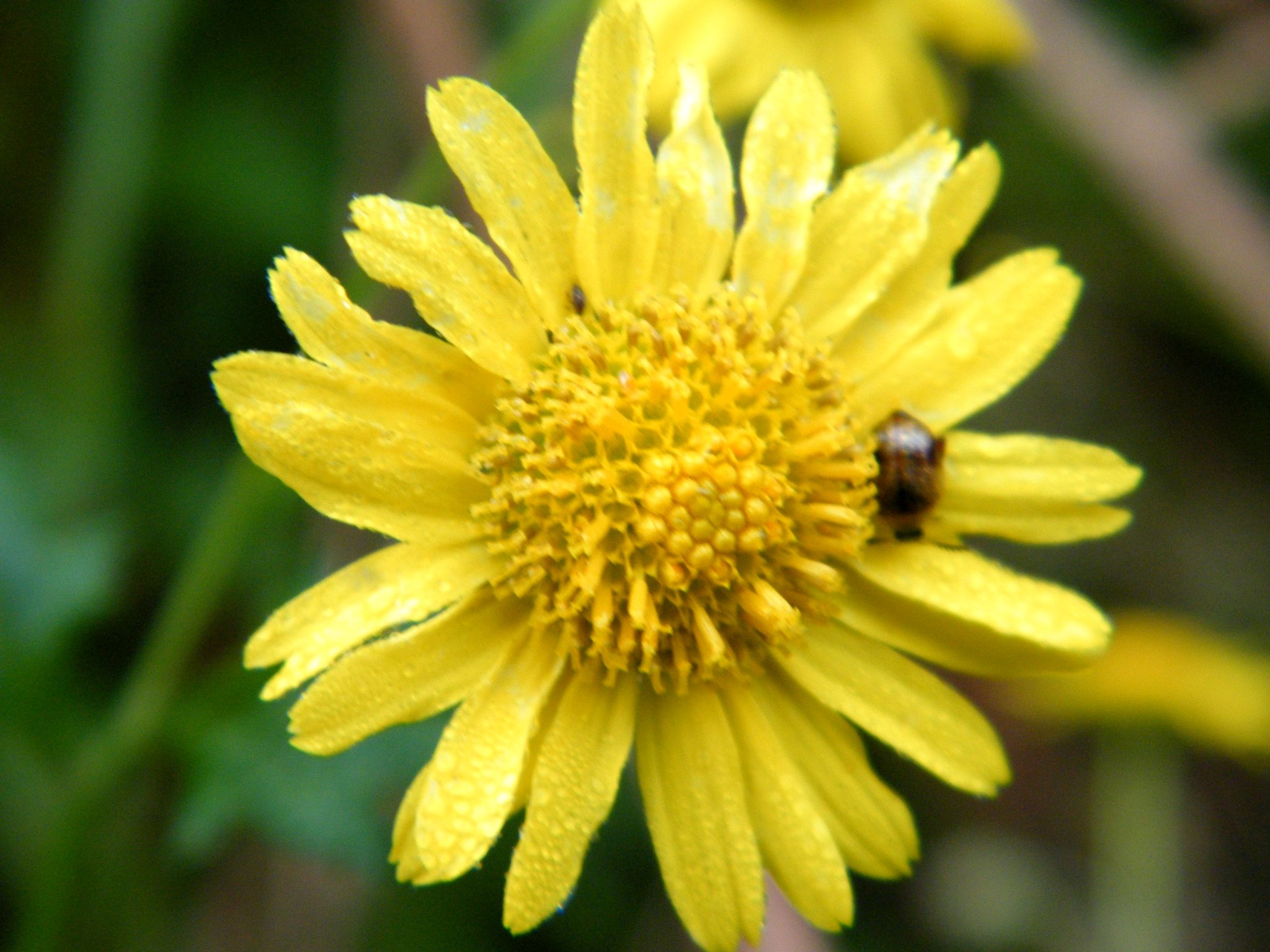 DSCF1903.JPG