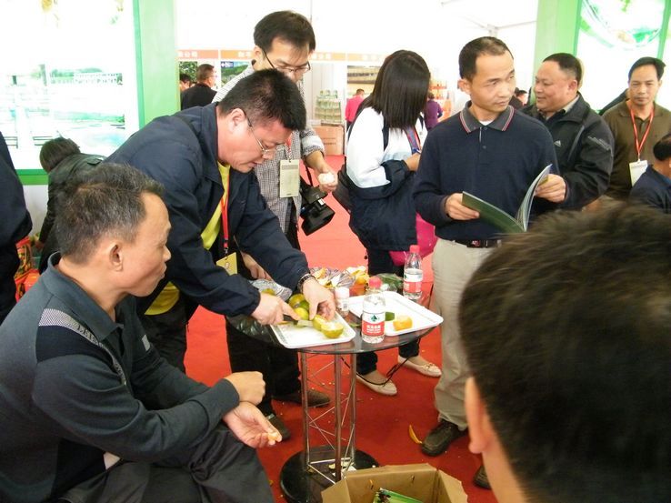 DSCF2317.JPG