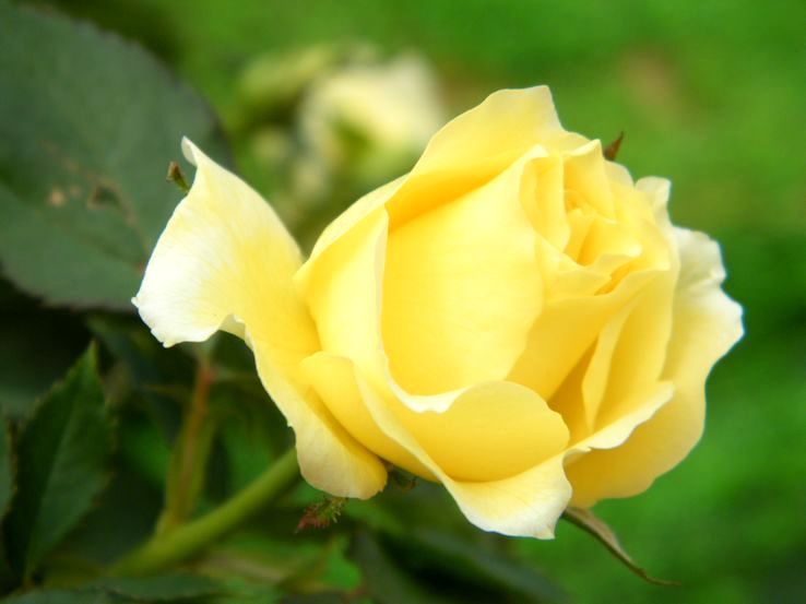 DSCF2286.JPG