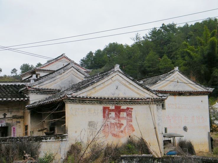 DSCF2513.JPG