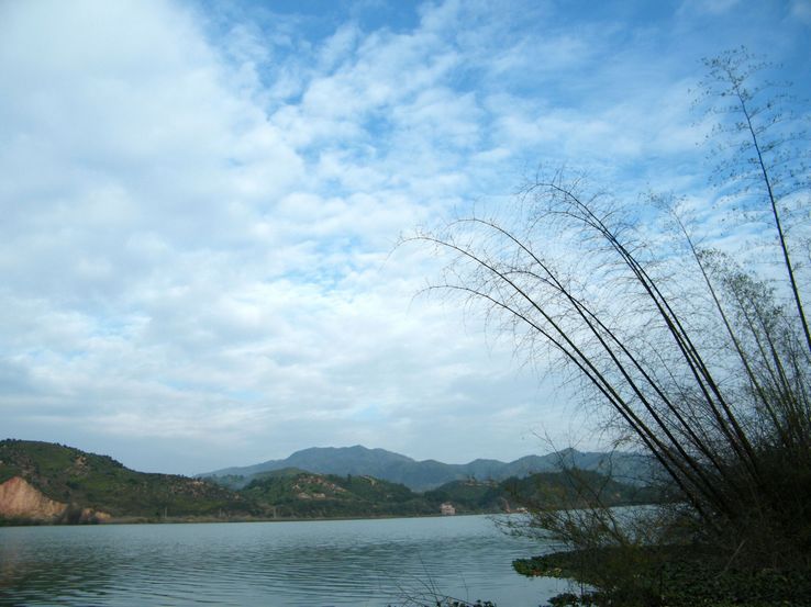DSCF2650.JPG