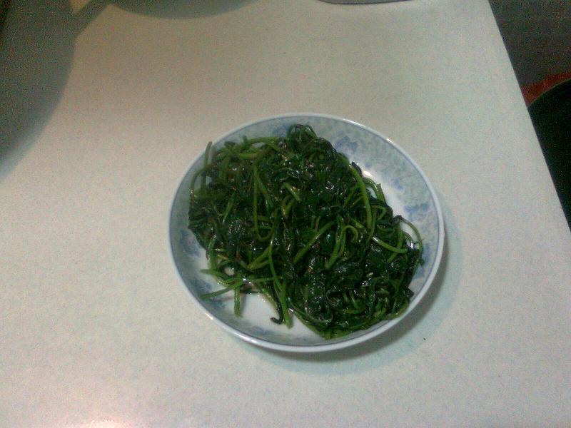 Ƭ0159.jpg