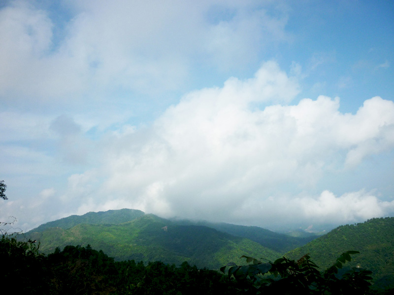 P1050726[1].JPG