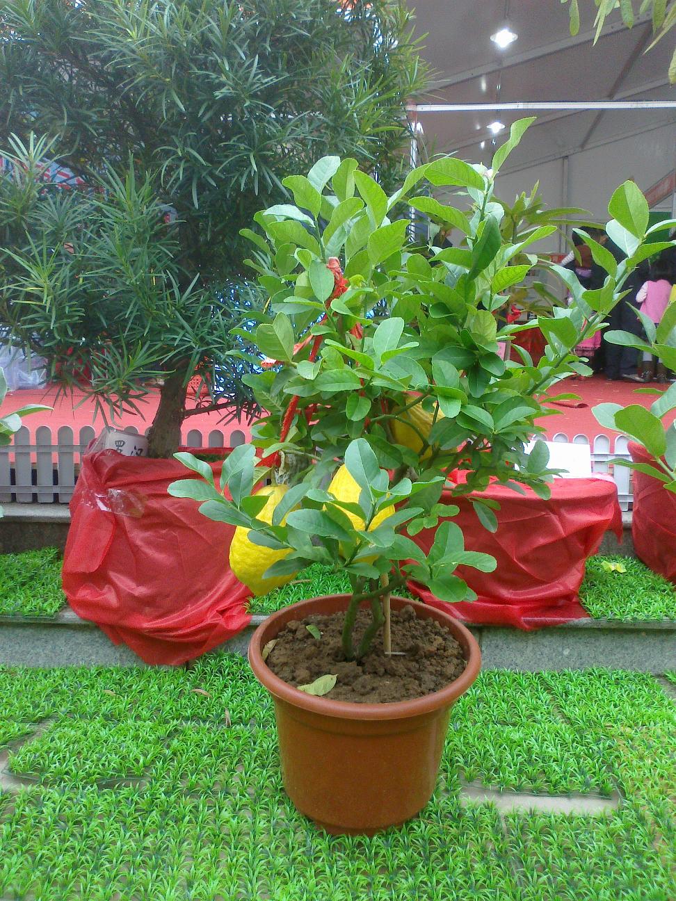 20111126042.jpg