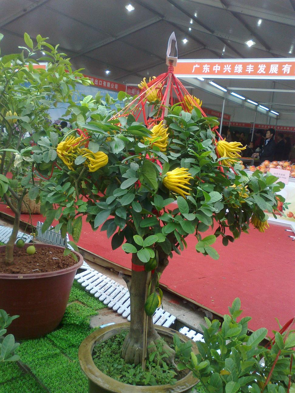 20111126043.jpg