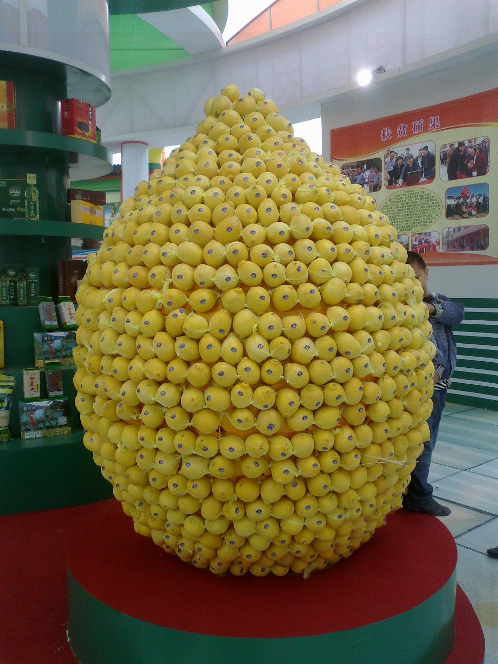 20111126053.jpg