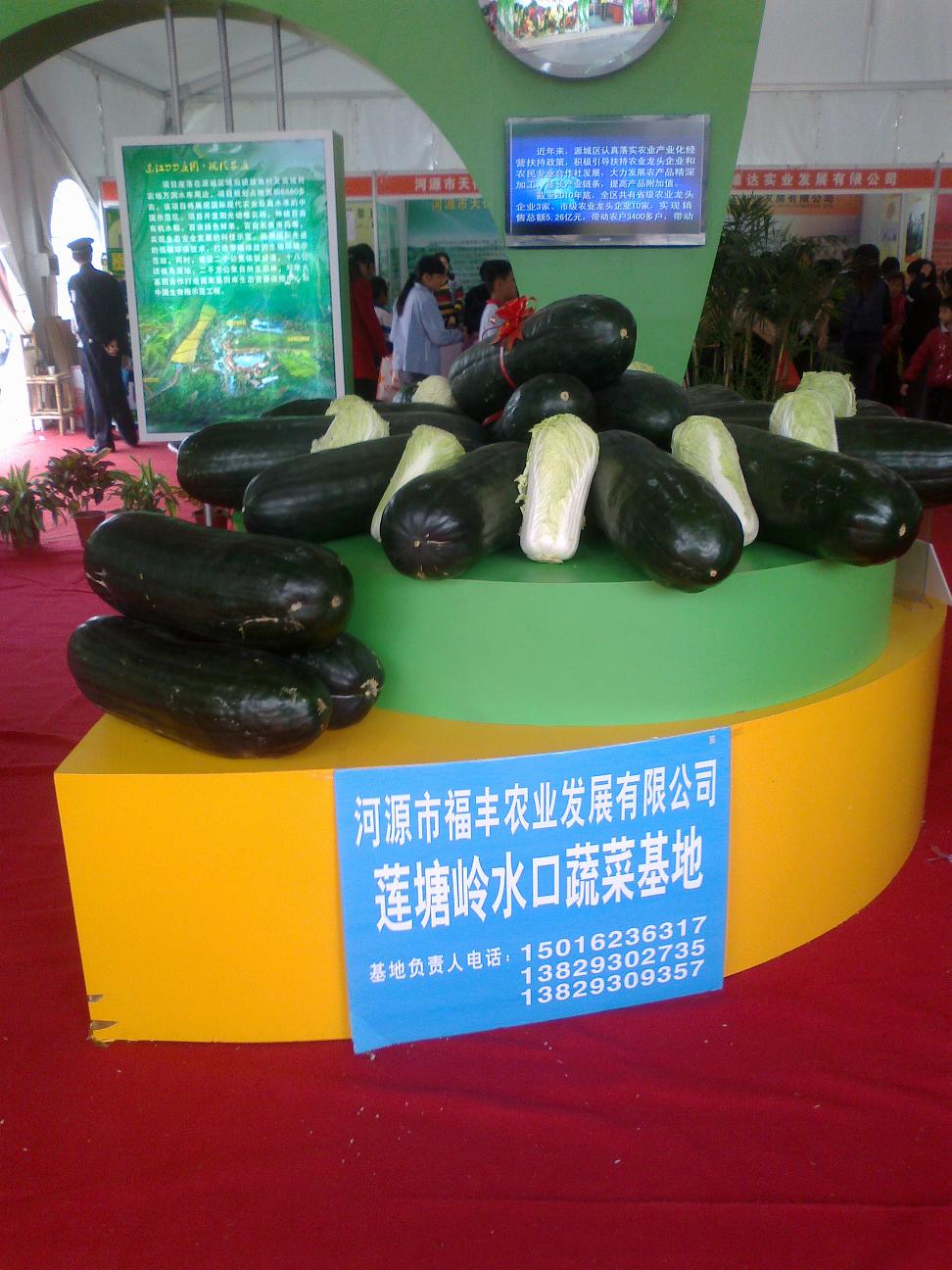 20111126054.jpg