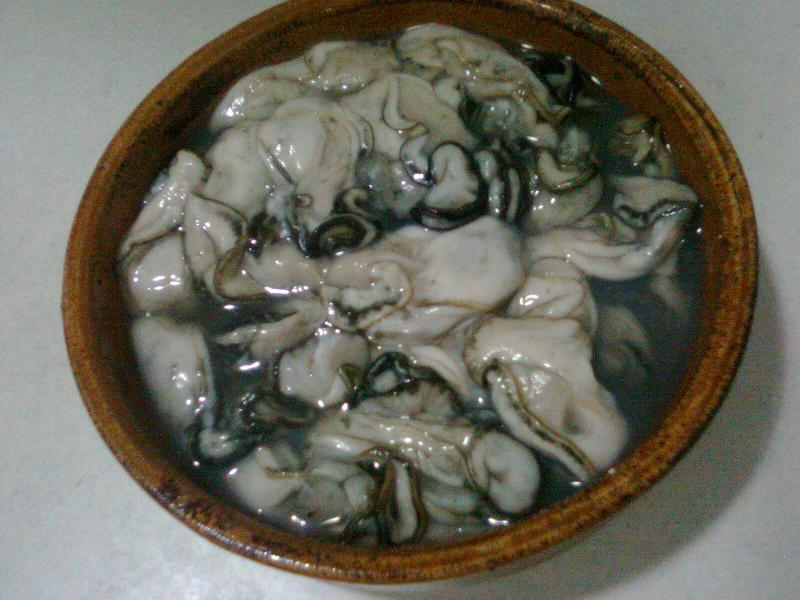 Ƭ0202.jpg