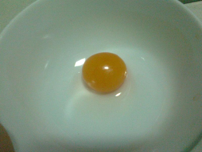 Ƭ0199.jpg