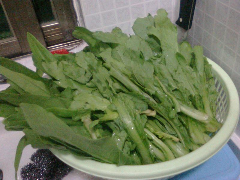 Ƭ0198.jpg