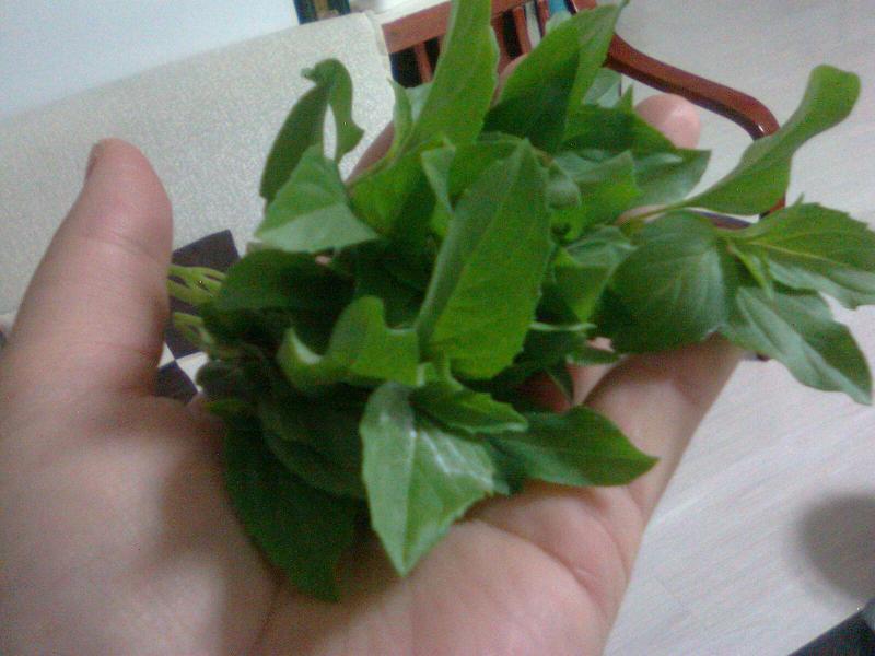 照片0219.jpg