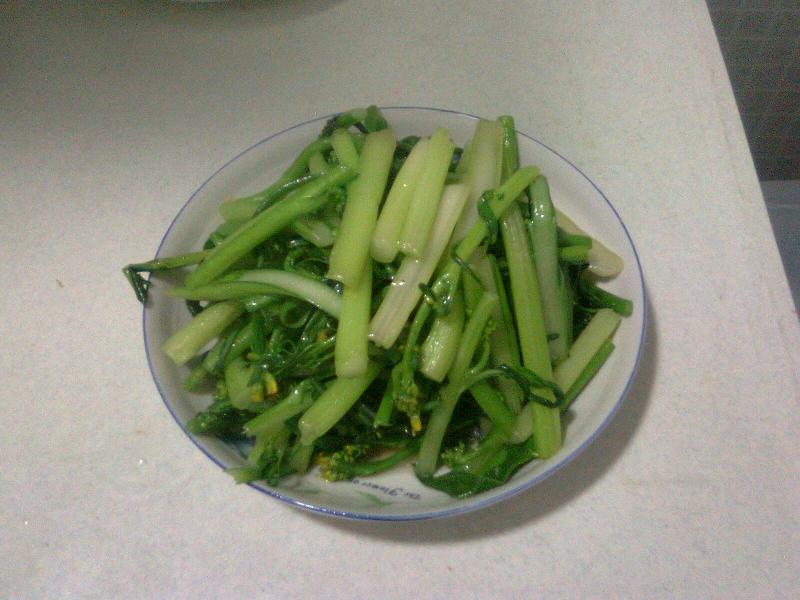 Ƭ0235.jpg